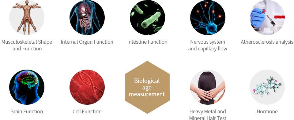 Biological age measurement - Musculoskeletal Shape  and Function,
                           Internal Organ Function, Intestine Function, Nervous system and capillary flow, Atherosclerosis analysis, Brain Function
                            Cell Function, Hair Heavy Metal and Minera Hair Test, Hormone