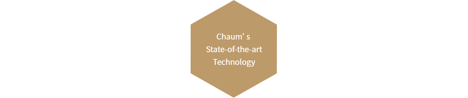Chaum’s State-of-the-art Technology