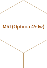 MRI (Optima 450w) (add a bulleted list)