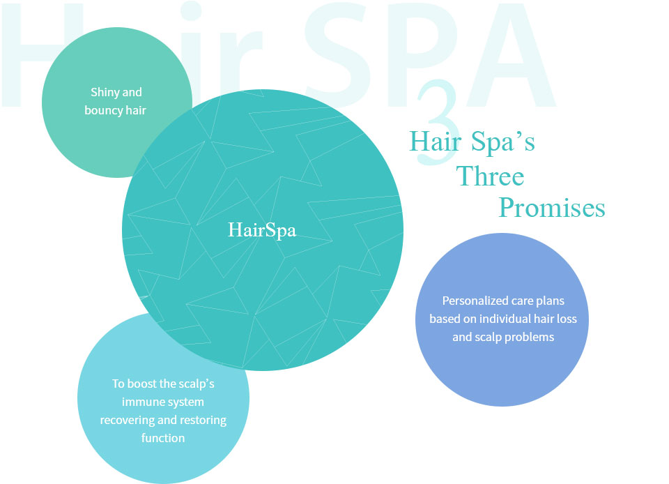 Three promises committed by Hair Spa - Shiny and bouncy hair, To establish appropriate care plan after identifying the cause of individual hair loss and scalp problems, To boost immune system on the scalp by recovering and restoring its function